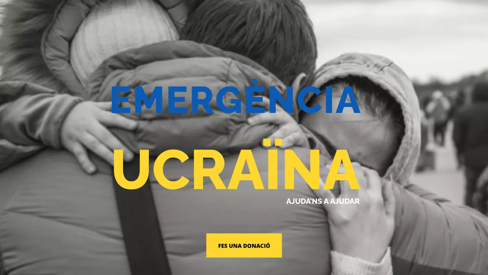 L'apartat de la pàgina web de Càritas on es poden fer donacions.