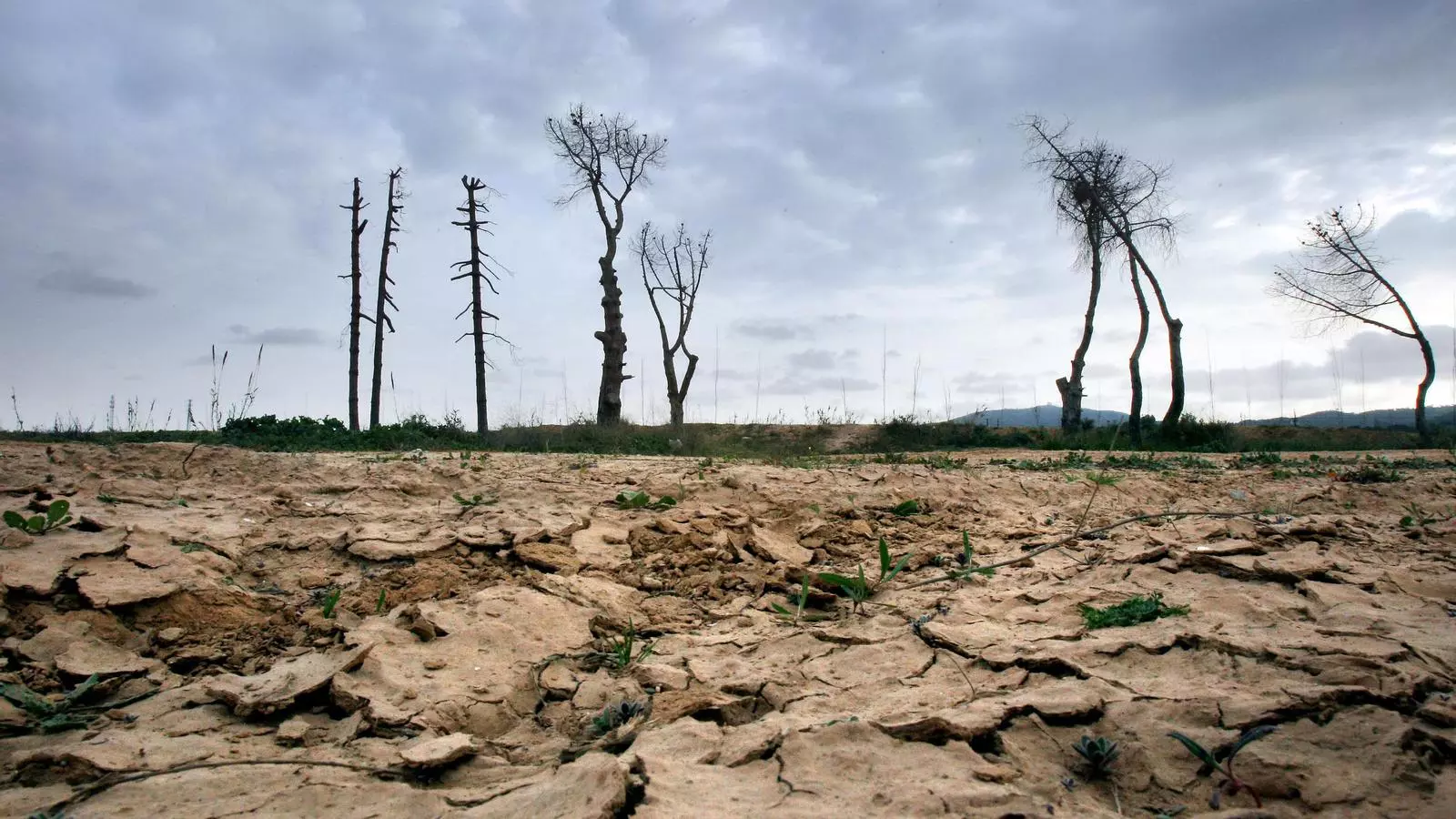 El canvi climàtic com a "gran oportunitat"
