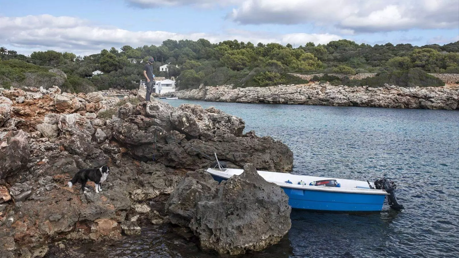 Imatge d'arxiu d'una pastera a les Balears.