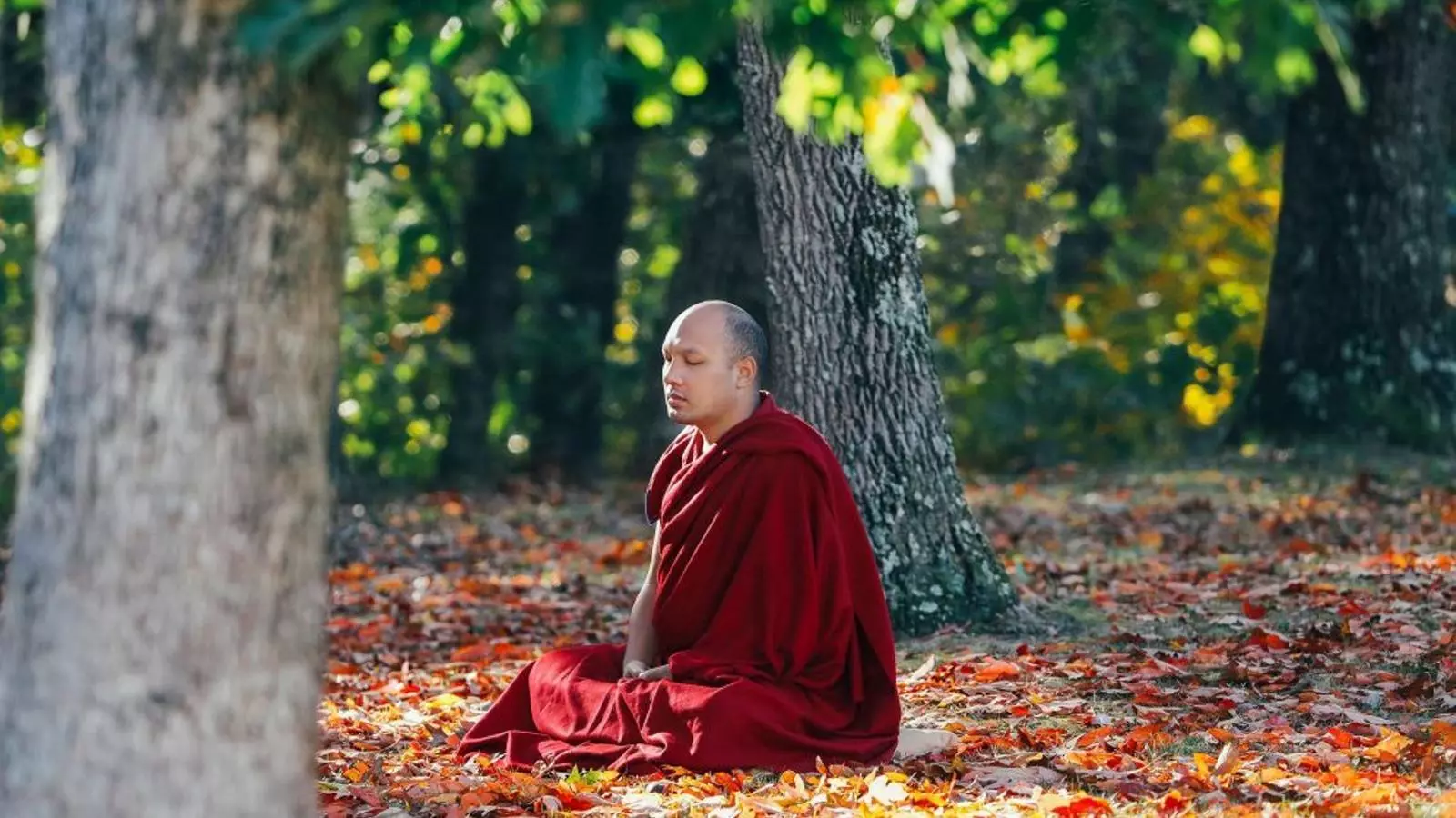 El karmapa Ogyen Trinley Dorje a una imatge recent