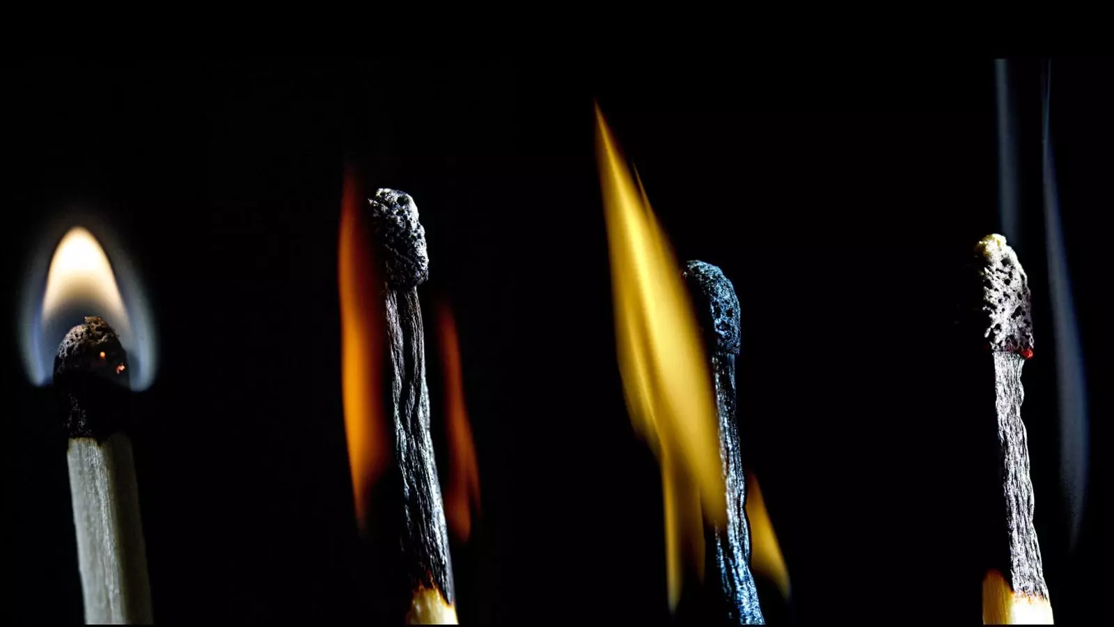 Incendis, la fúria d’una natura maltractada