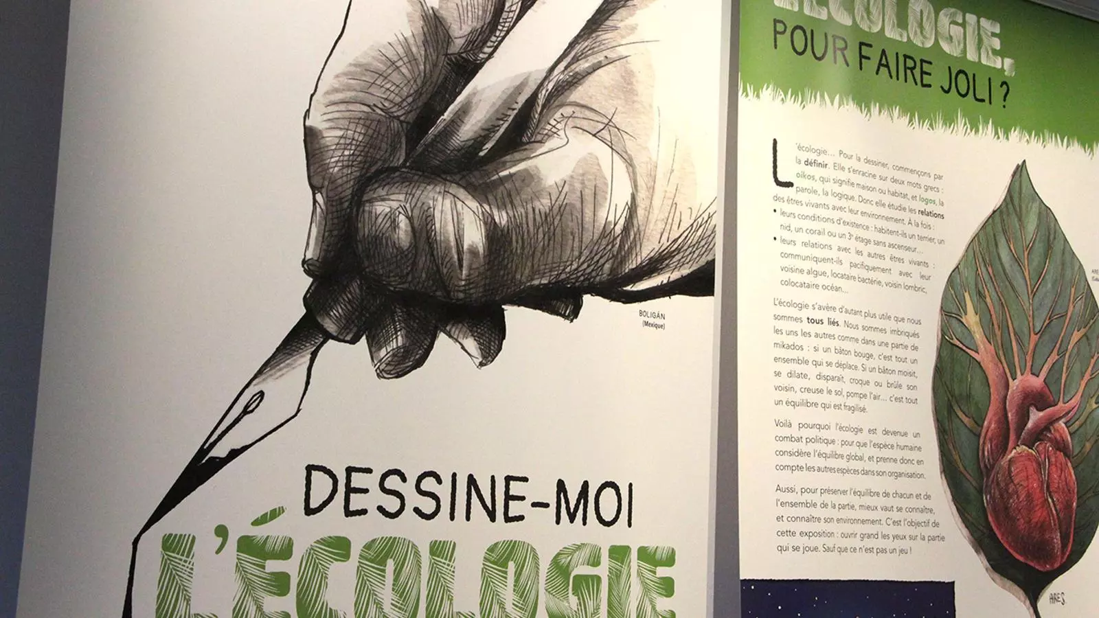 Una imatge de la mostra 'Dessine-moi l'écologie'