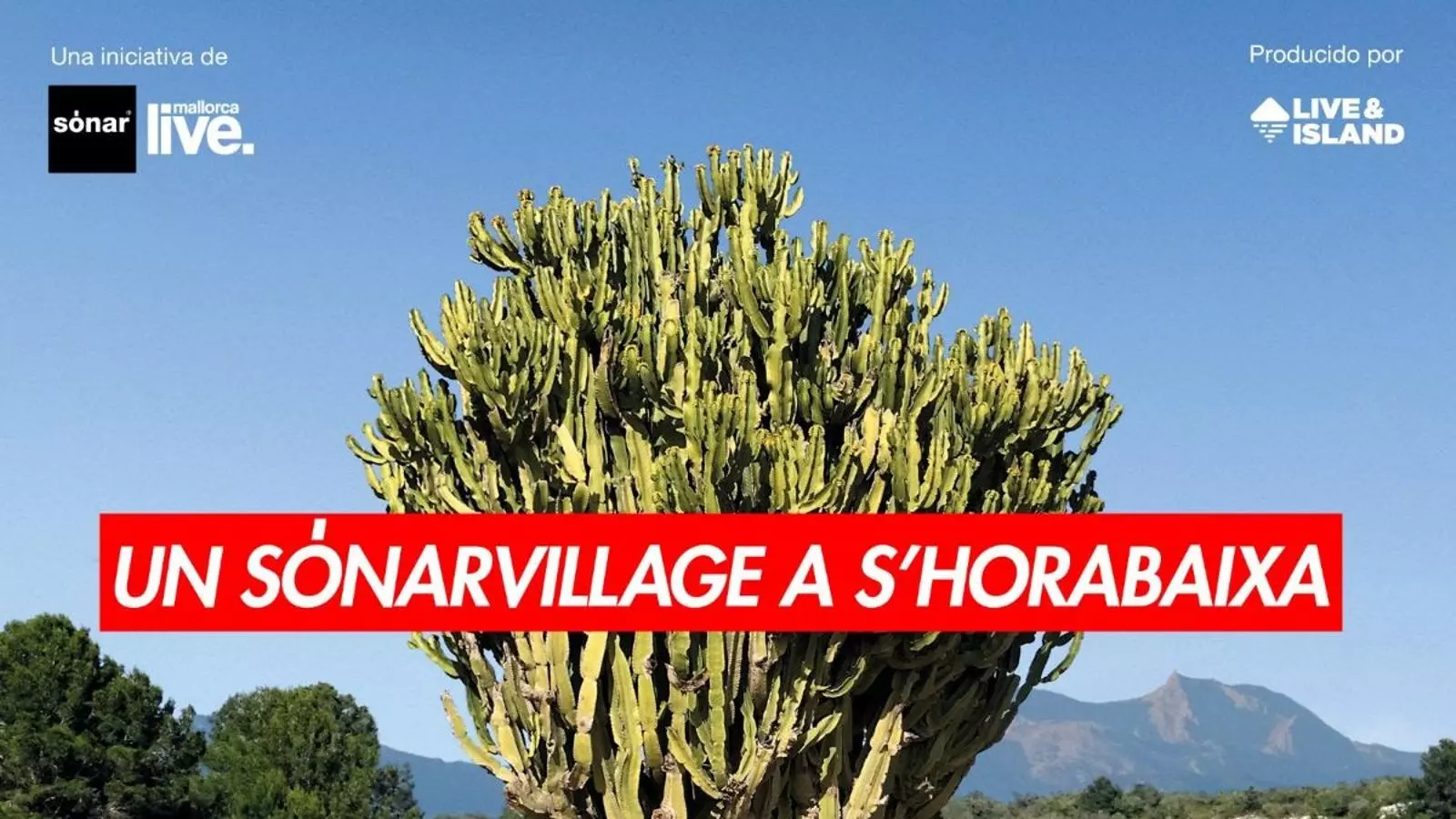 SónarVillage a S'horabaixa.