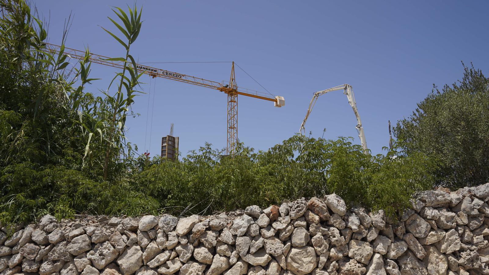 A work in the field of San Luis.