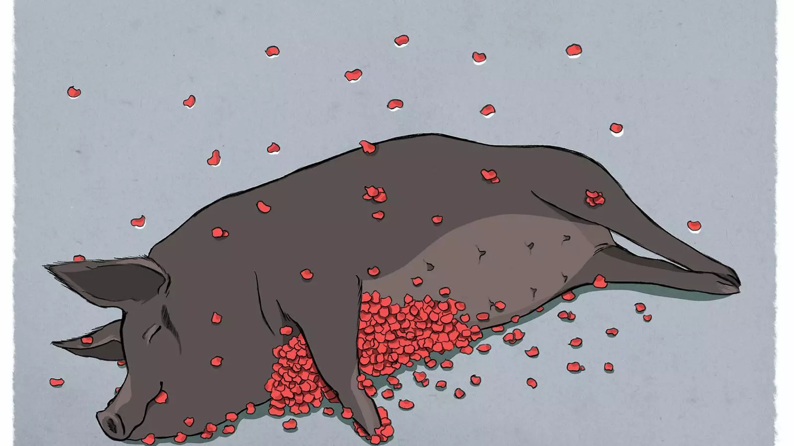 Conte Una vida ecològica