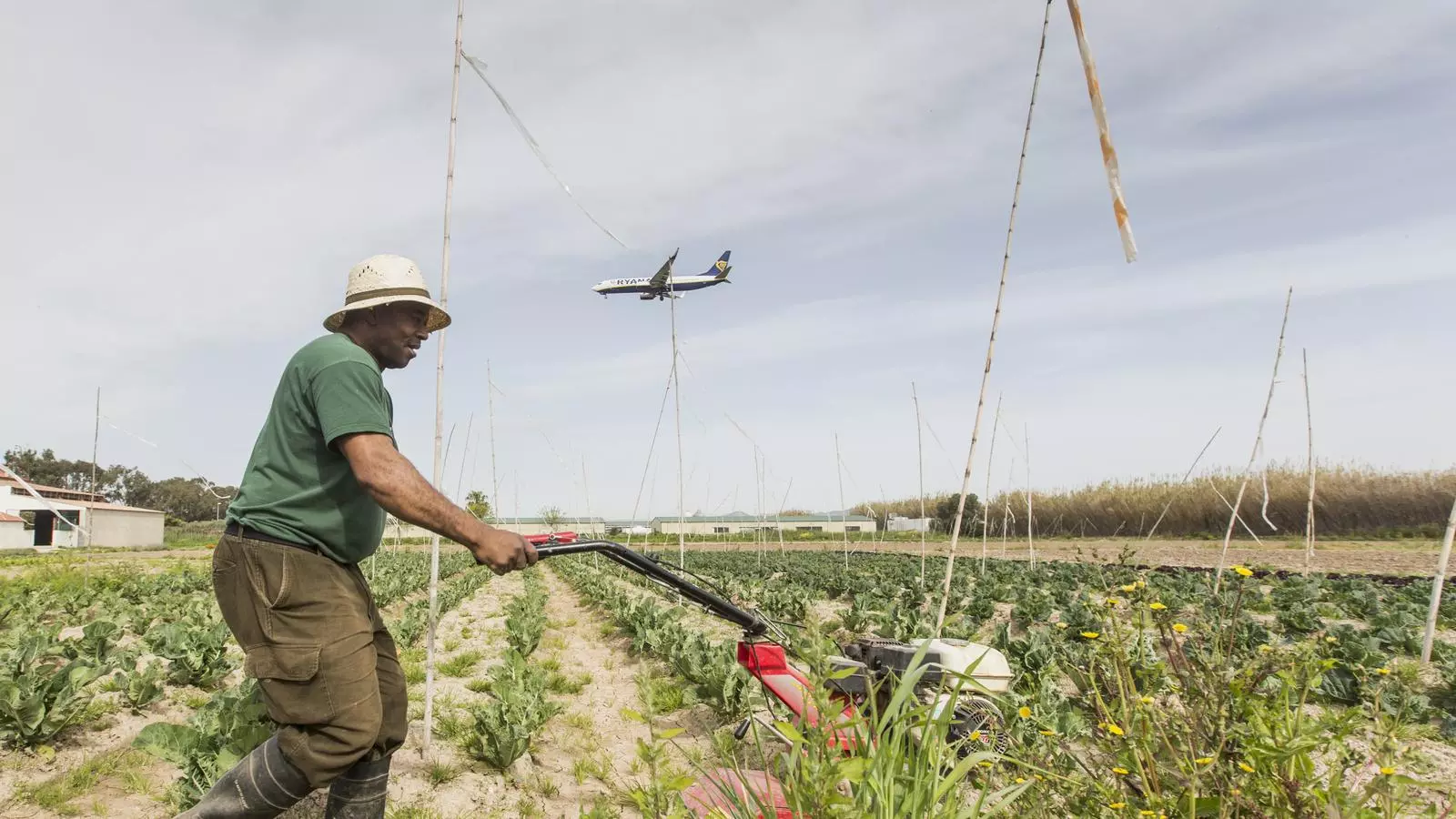 A la finca Cal Tudela, situat ben a prop de l'aeroport del Prat del Llobregat, el cent per cent dels cultius són ecològics