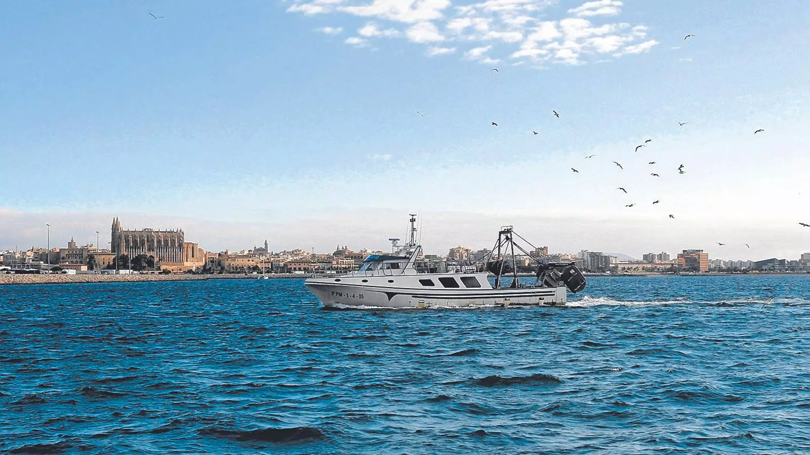 Diversificació també és fer possible la continuïtat d’activitats tradicionals, com la pesca professional.