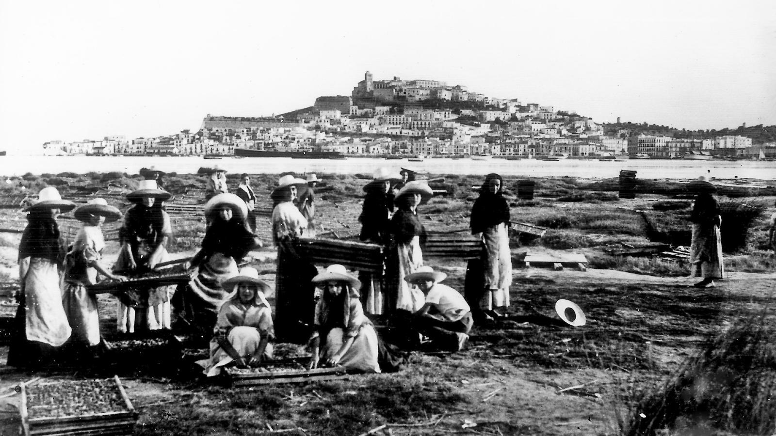 Dones assecant albercocs a Eivissa.