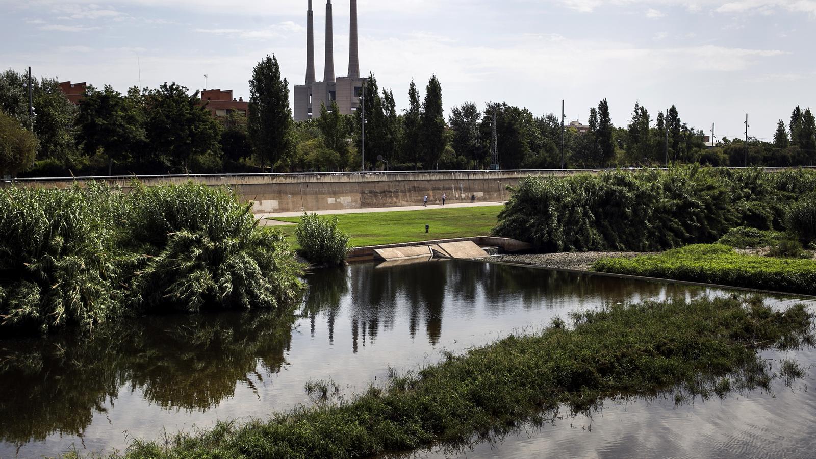 Vista del parc fluvial del Besòs al seu pas per Badalona