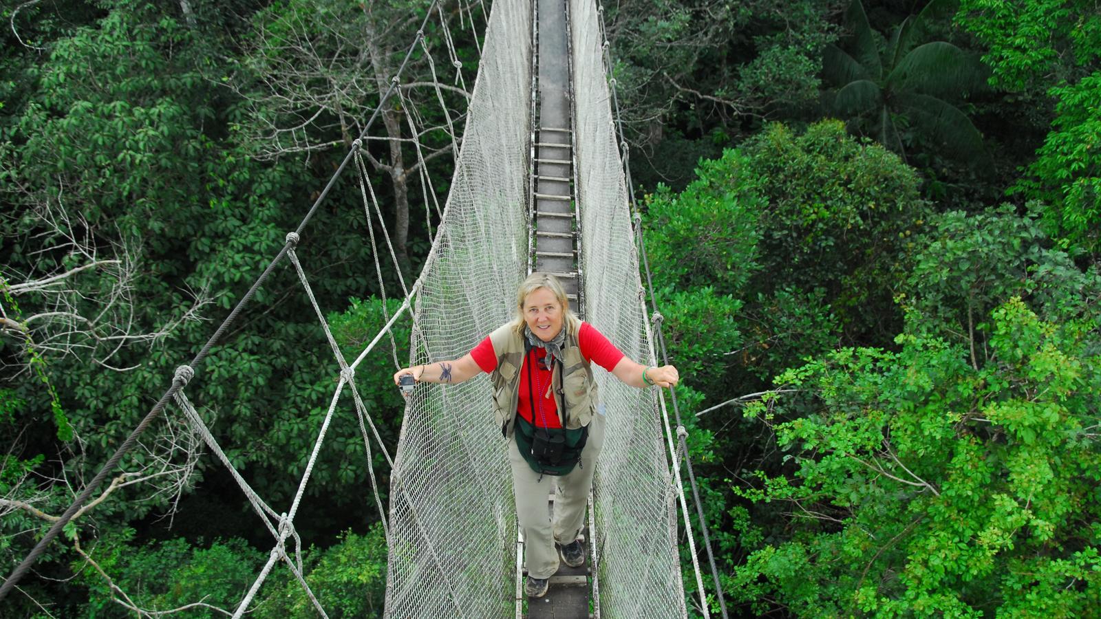 Biologist Meg Lowman on one of the walkways between tree canopies, a tool she invented.