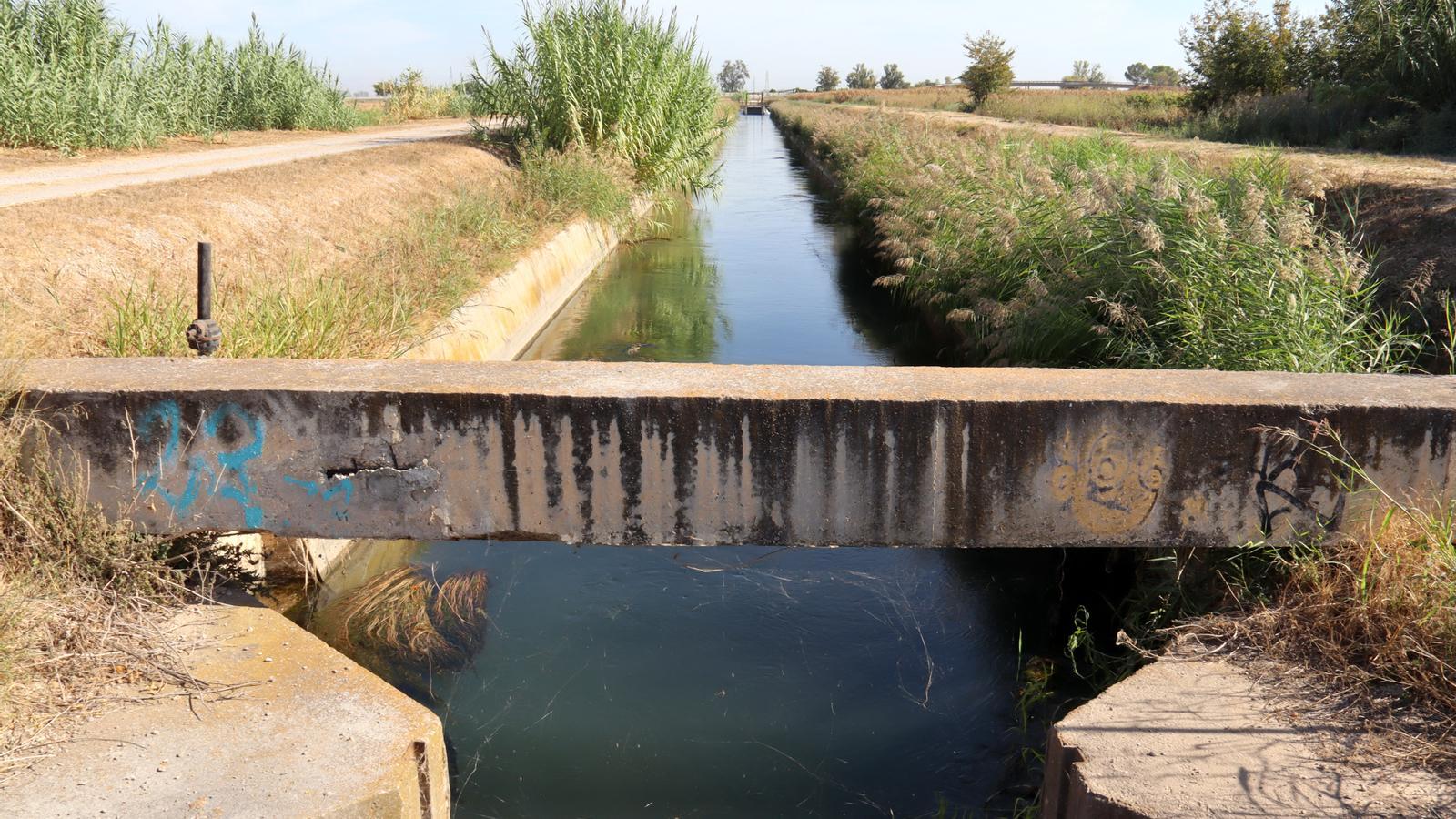 El canal auxiliar de Urgel a su paso por Sidamon