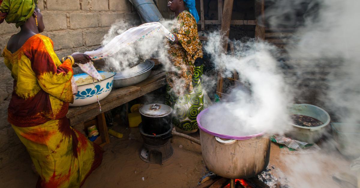 Senegal Spends 0 Million on Imported Rice While Local Crops Rot
