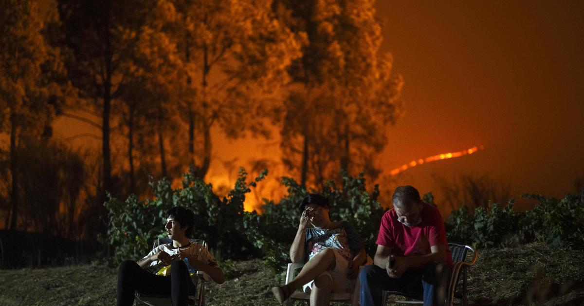 From flames to ashes: Spain experiences one of its worst summers due to fires