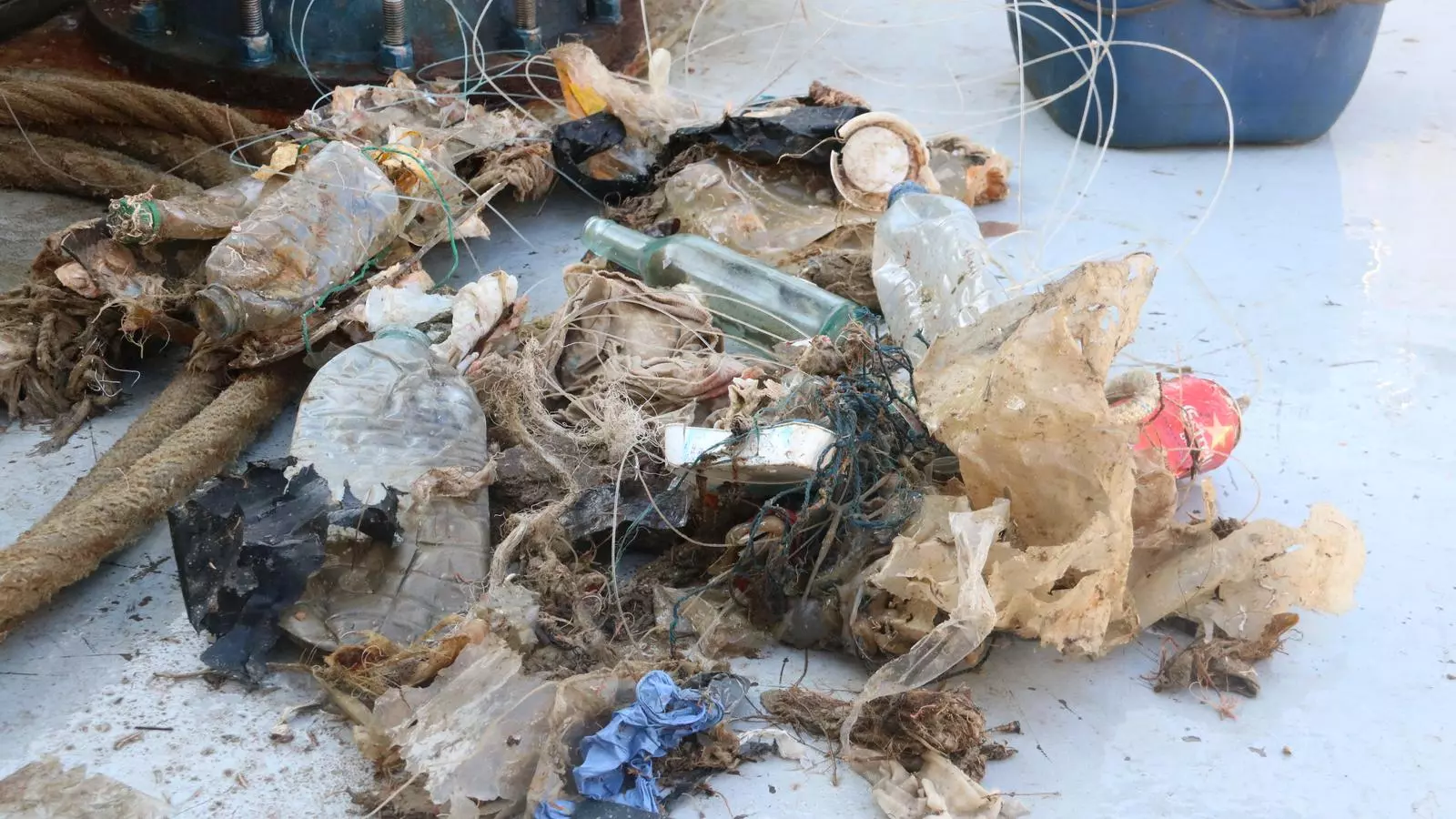 Alguns residus recollits per embarcacions de Blanes en una jornada de pesca