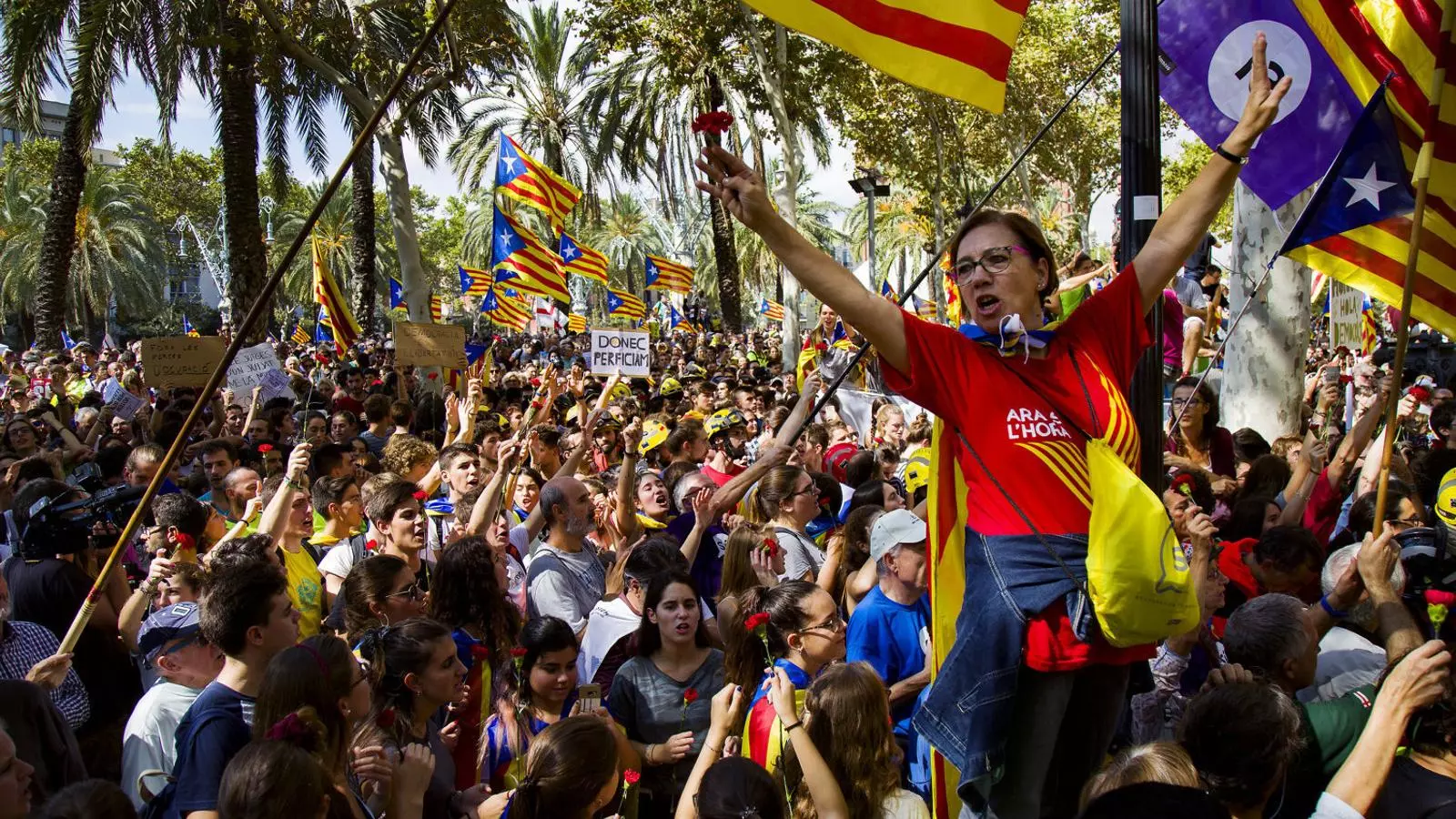 Milers de persones van concentrar-se ahir durant tot el dia a les portes del Tribunal Superior de Justícia de Catalunya.