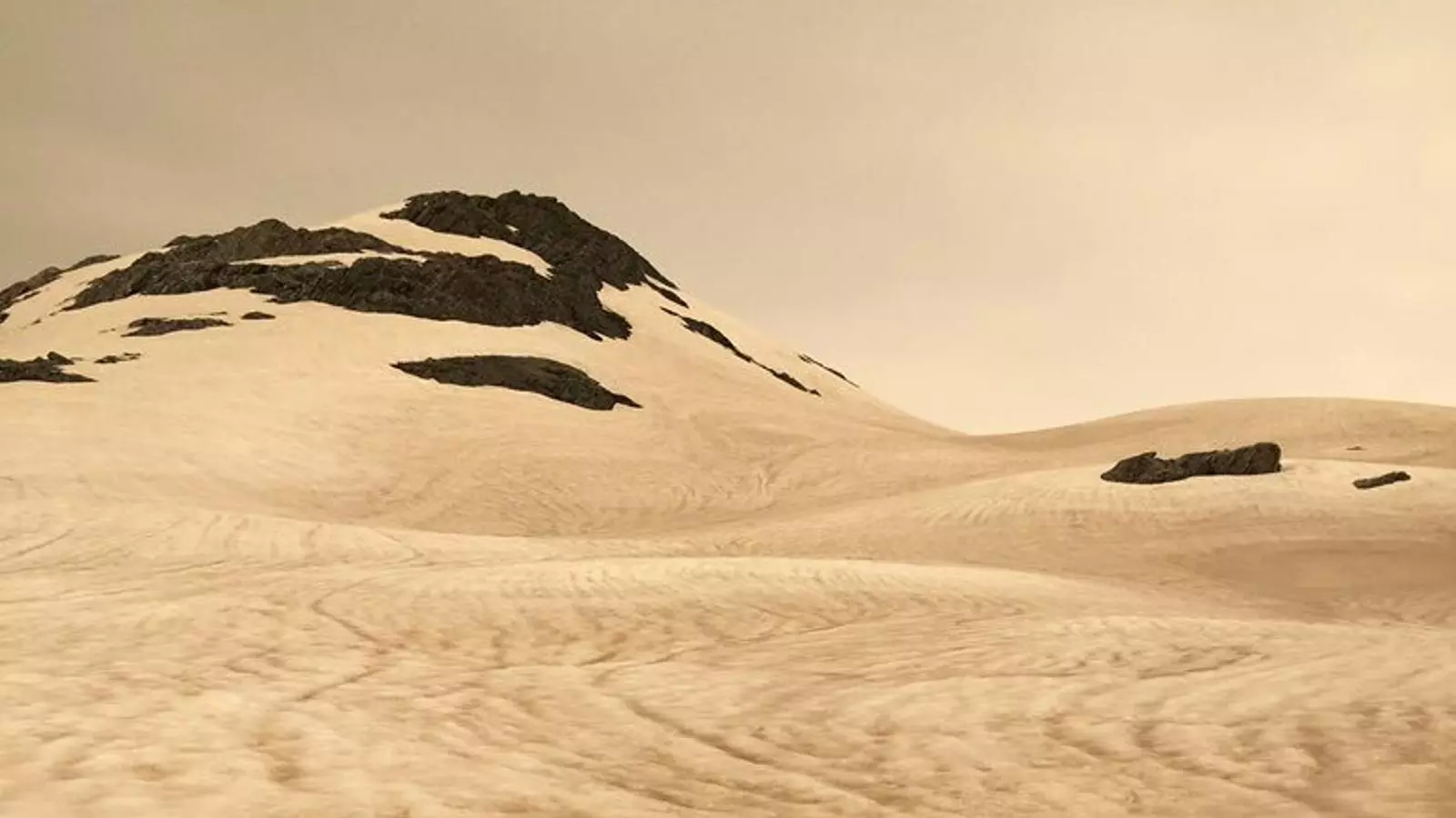 Paisatge marronós a prop de la glacera Franz Josef, a Nova Zelanda