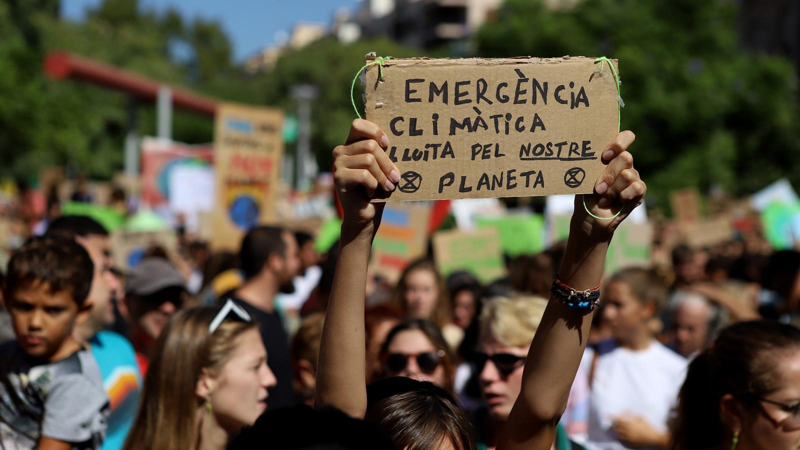 La manifestació en contra del canvi climàtic a Palma, en imatges