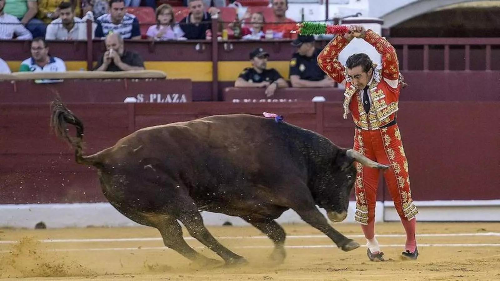El PP ha fet cavall de batalla el retorn dels toros a TVE