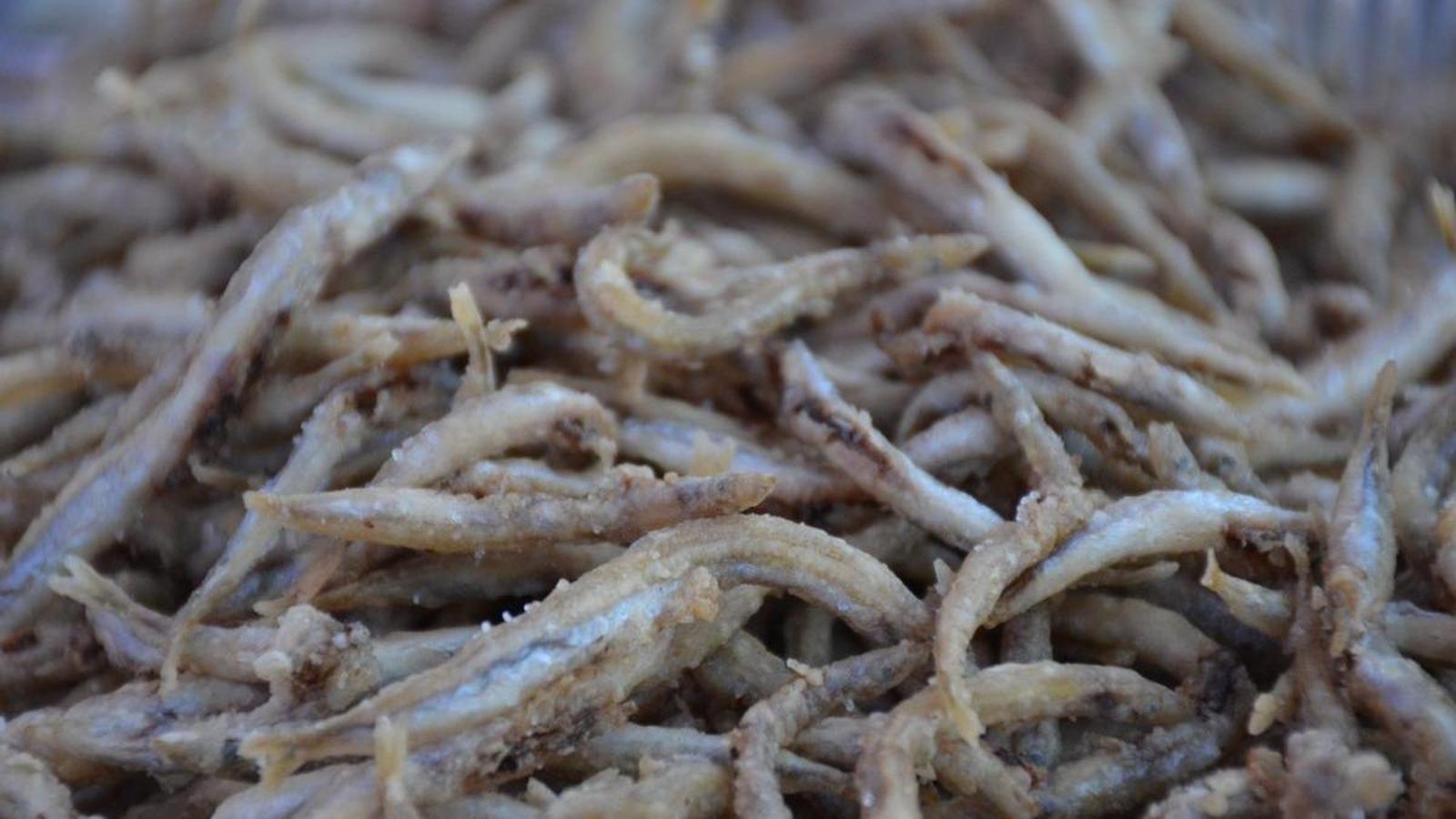 Sonso frito en las Jornadas Gastronómicas de L'Estartit.