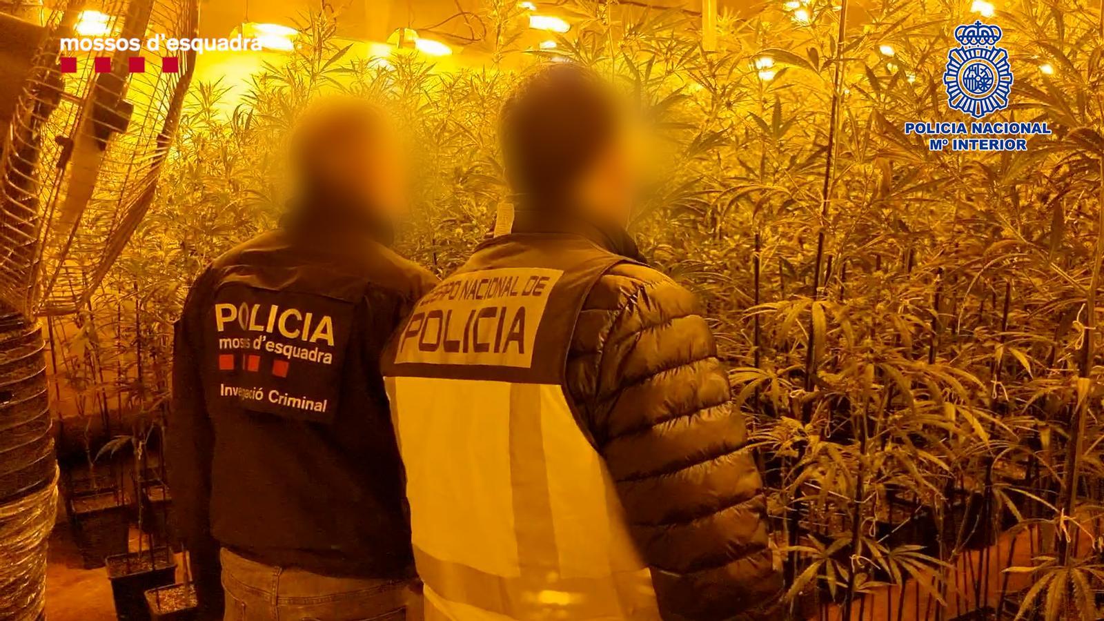 Un grup d'agents durant un dels registres efectuats en l'operatiu