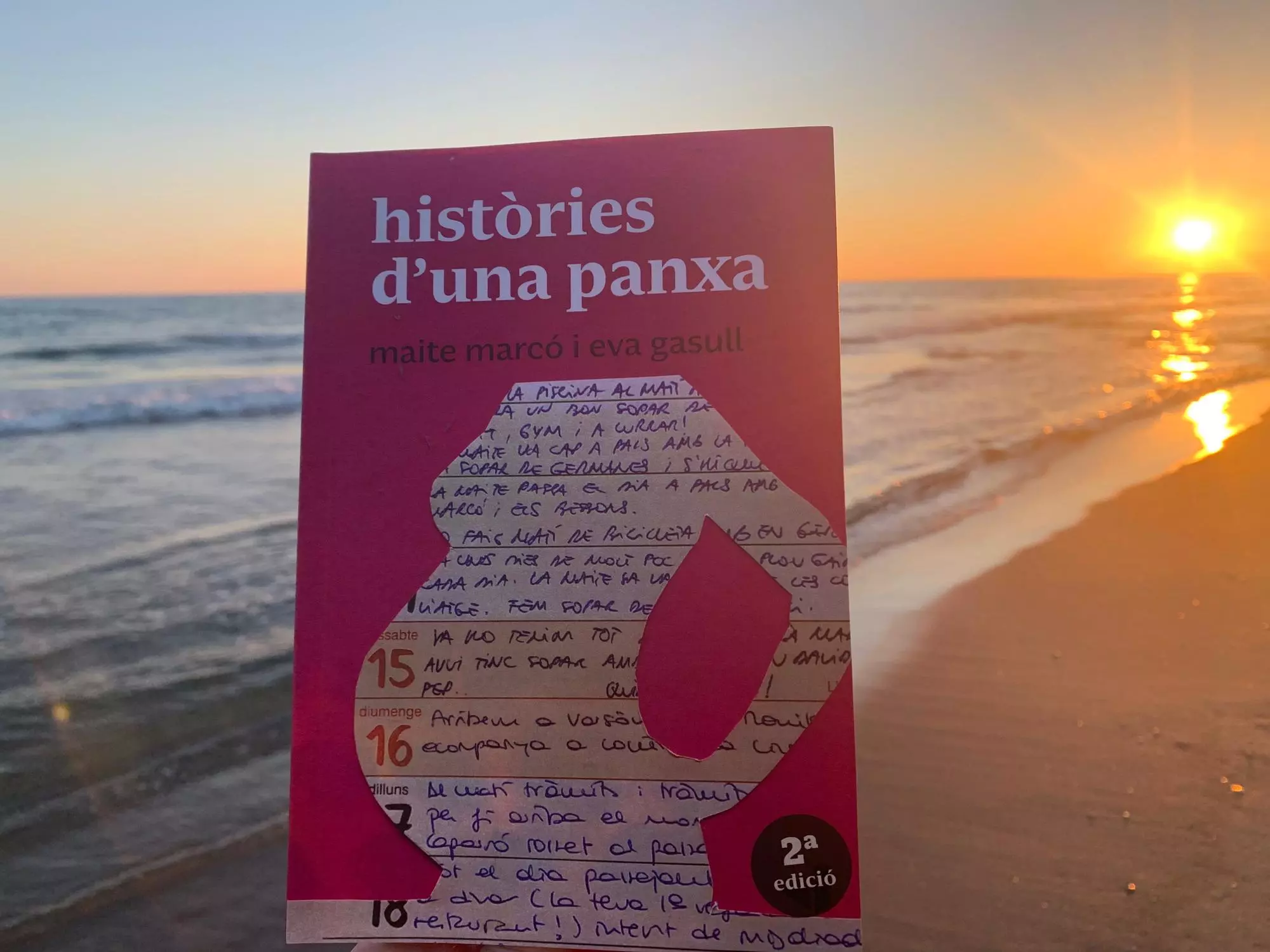 Us presento un llibre que m'ha colpit
