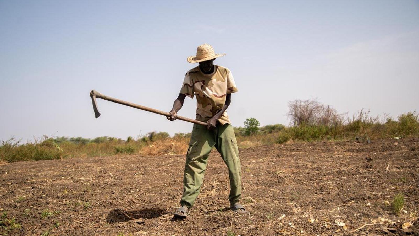The farmer Masamba Dambou in his field of Boda in the Trarza region, Mauritania.