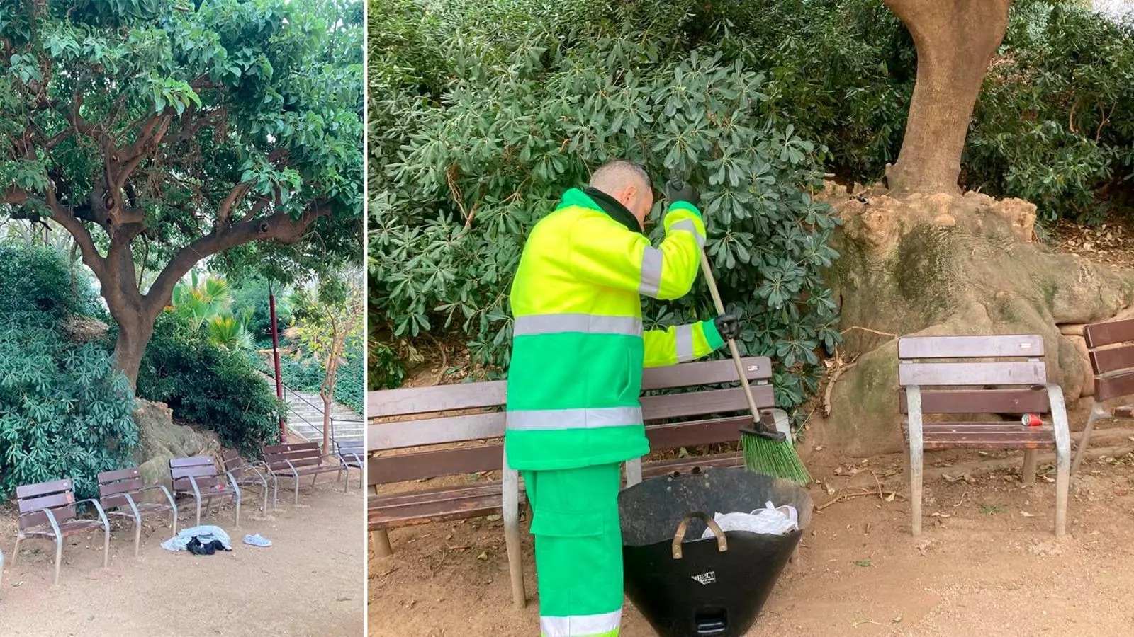 L'arbre on s'ha suïcidat un home a la plaça de Pablo Neruda i la brigada de neteja enduent-se la roba
