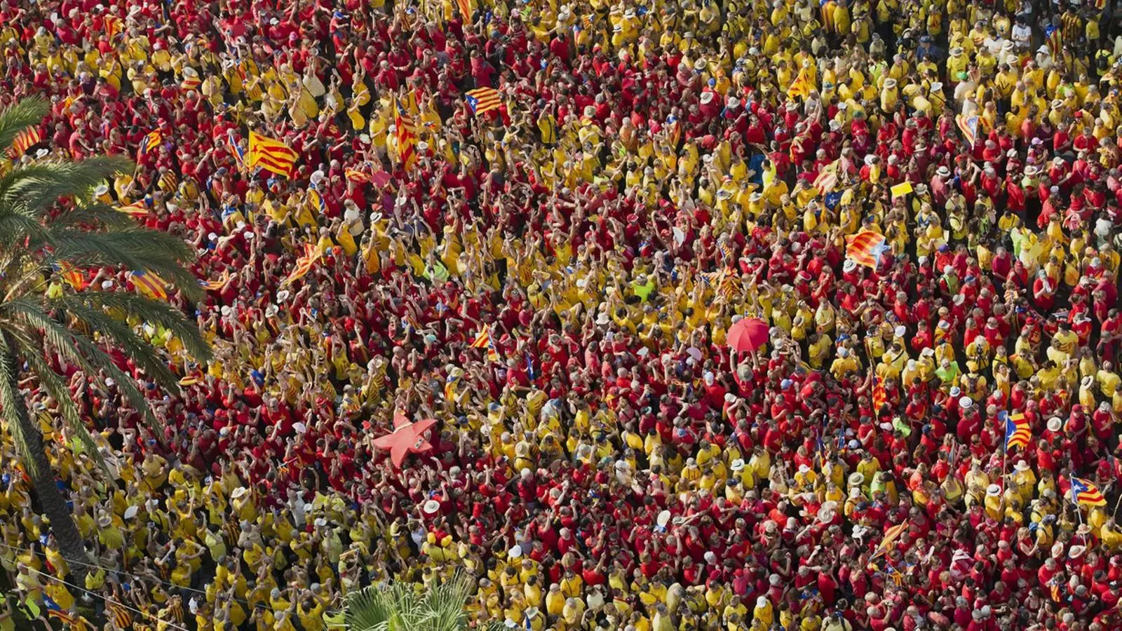 Participants a la Diada de la 'V'