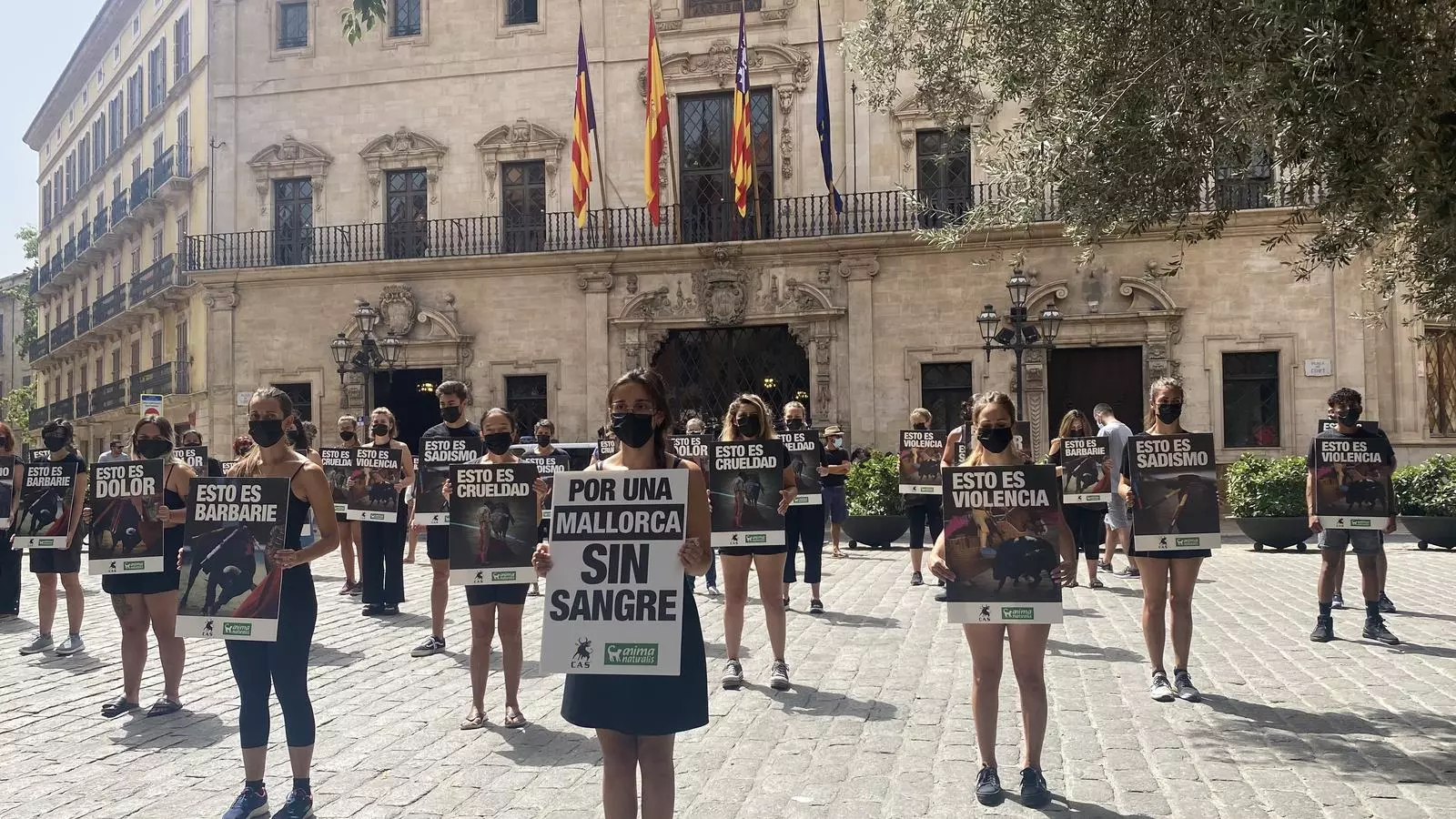Desenes d'antitaurins a la plaça de Cort.