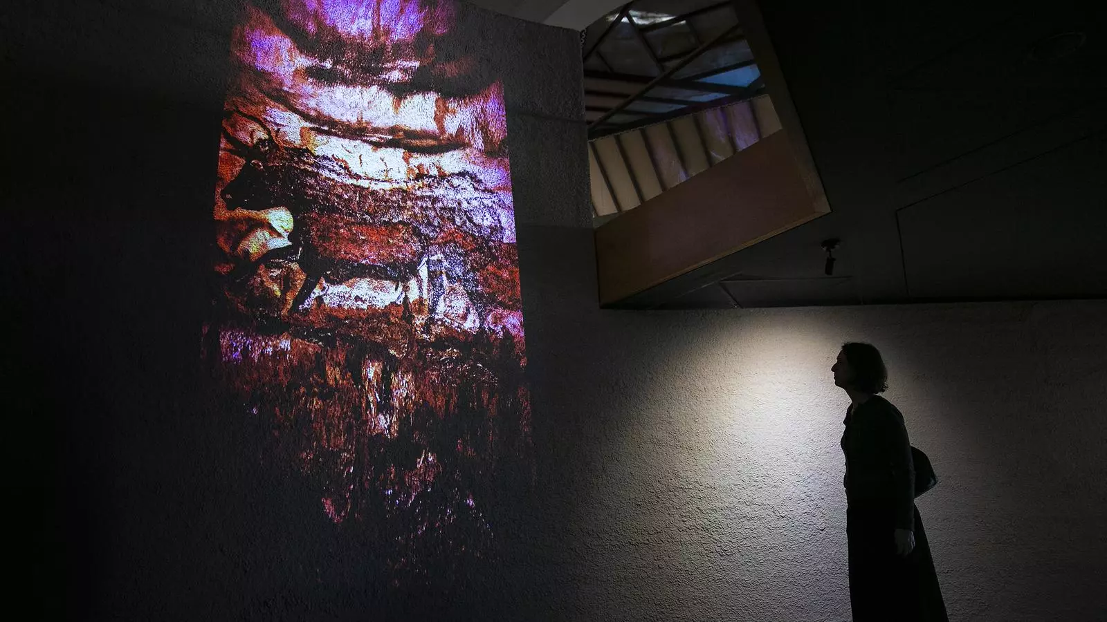 Una imatge de l'exposició que es pot veure al MAC fins al 28 de juny