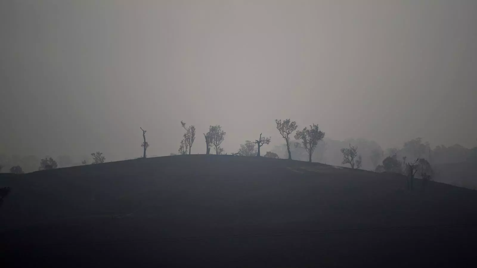 Un camp totalment cremat en una ciutat de Nova Gal·les del Sud pels incendis devastadors que assoten l'estat australià