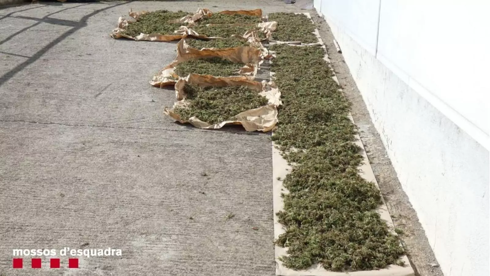 Part del material intervingut. / MOSSOS