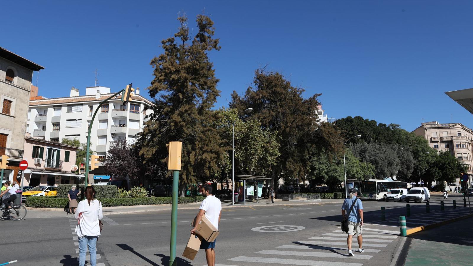 El carrer Comte de Barcelona, que xapa la plaça del Progrés de Palma.