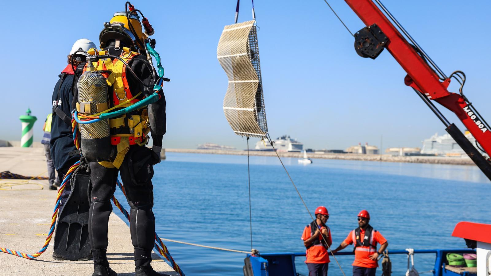 Installation operation of one of the Port's infrastructures intended for marine regeneration
