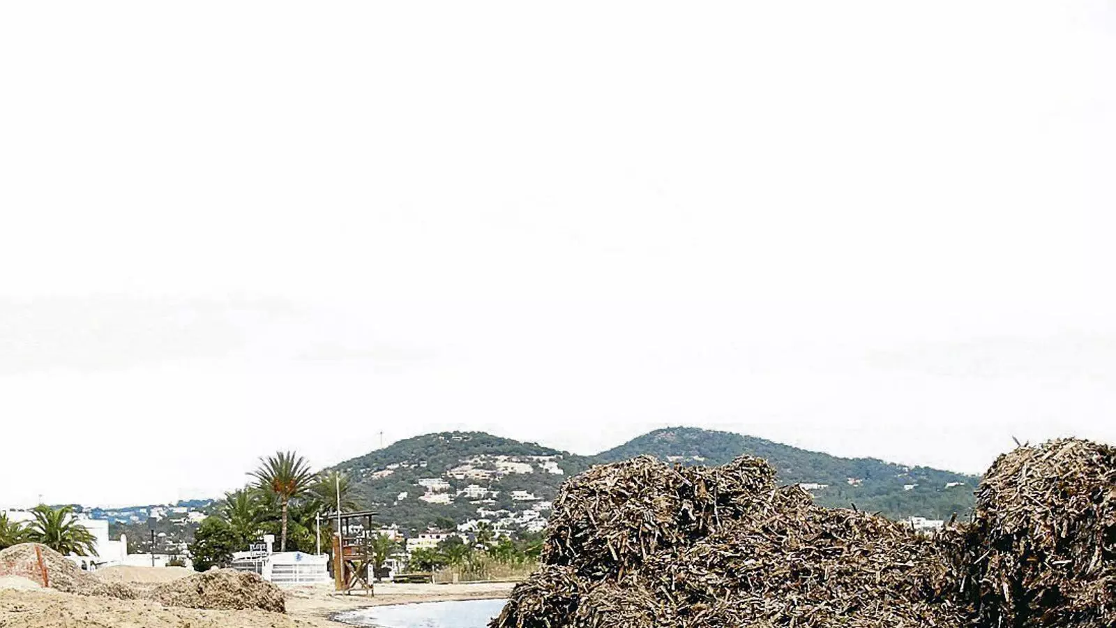 Les gestió de les fulles de posidònia caigudes és imprescindible per garantir el manteniment de l’arena de les platges.