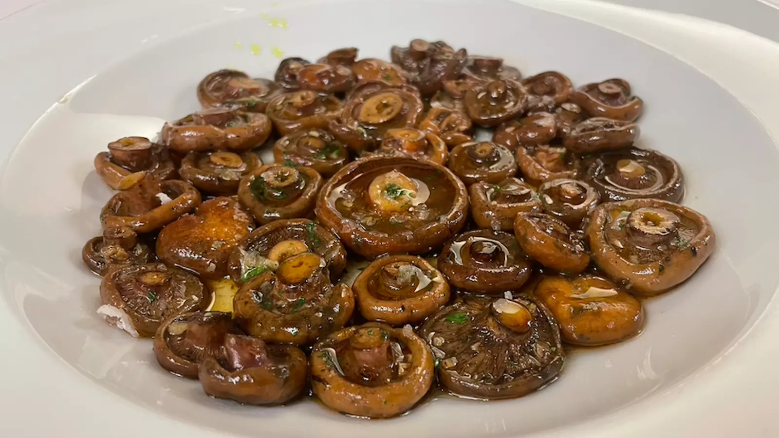 Bolets