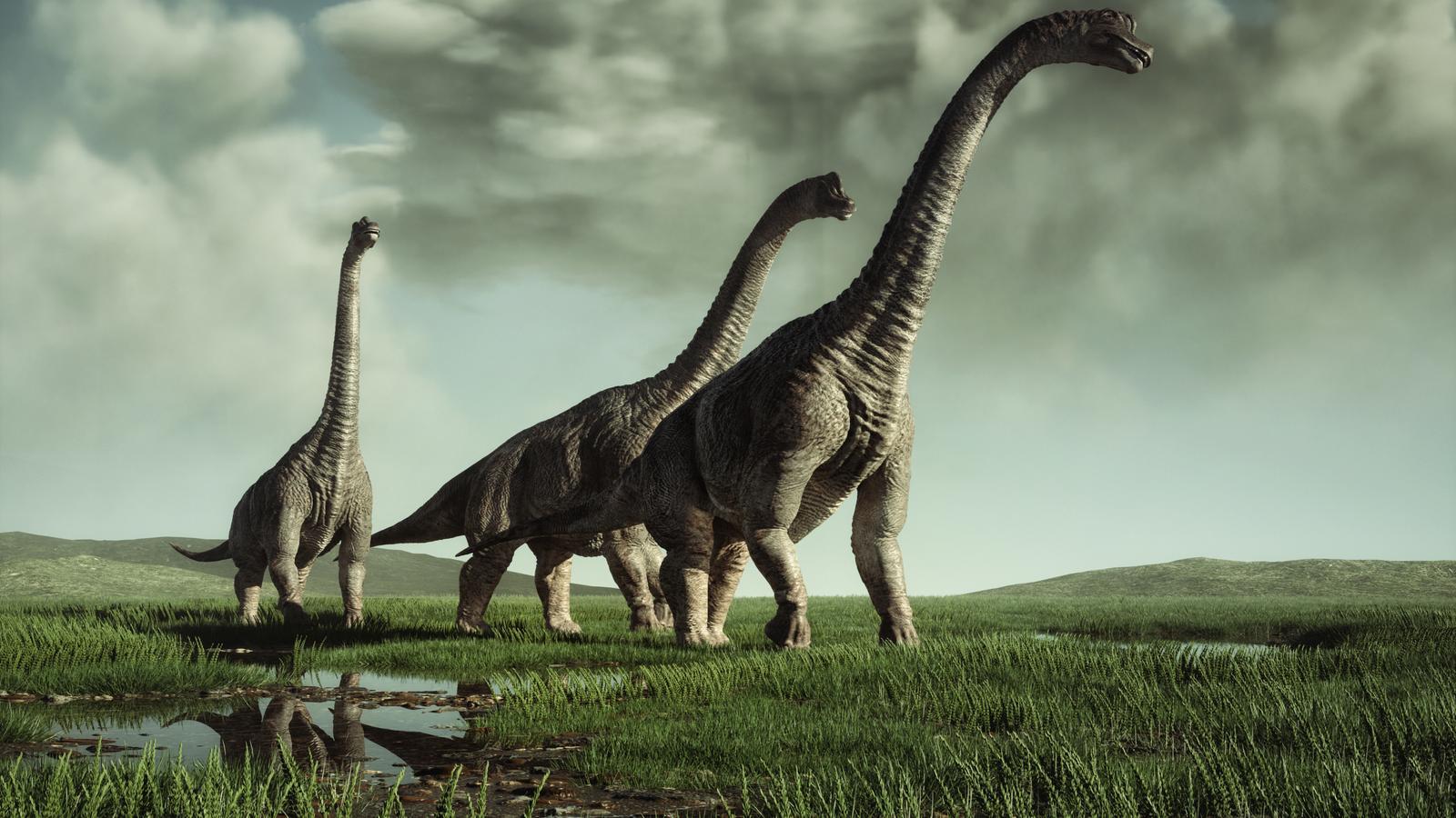3D illustration of a Brachiosaurus specimen in a natural environment in a stock image.