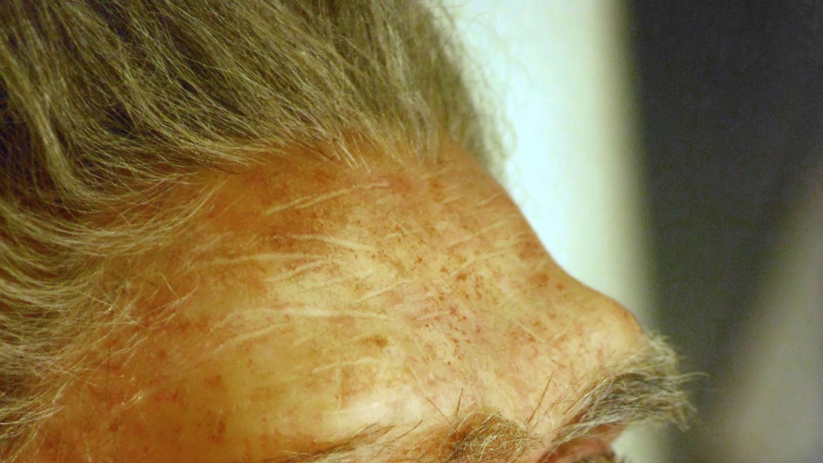 Vencedors i vençuts Homo sapiens i neandertals competien pel mateix territori i pels recursos.