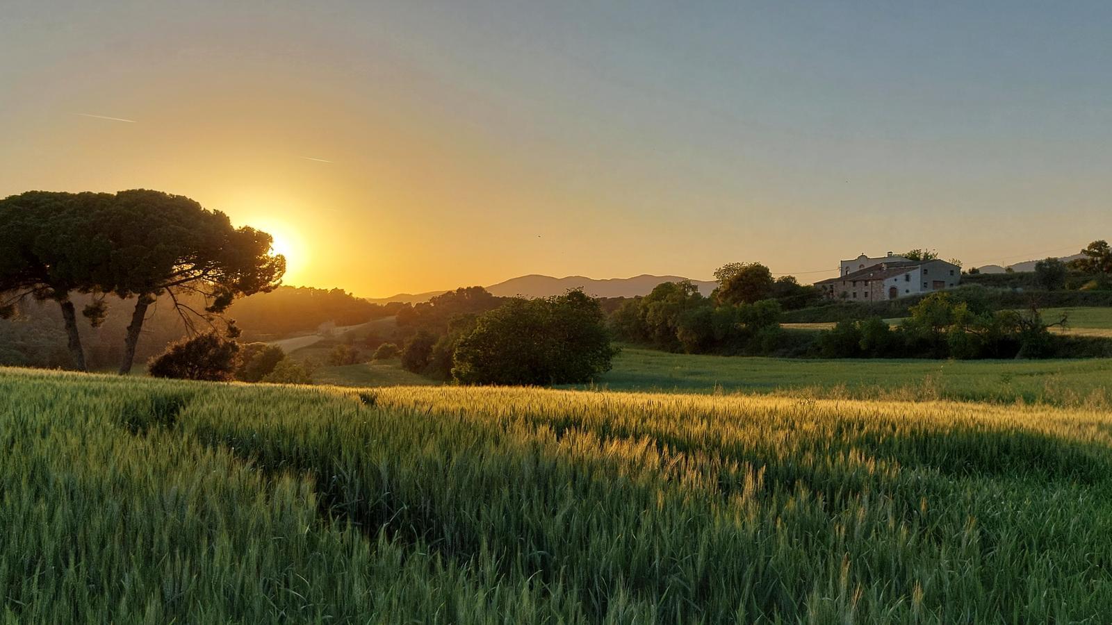 Albada i un cel ben serè, des de Marata (Vallès Oriental)