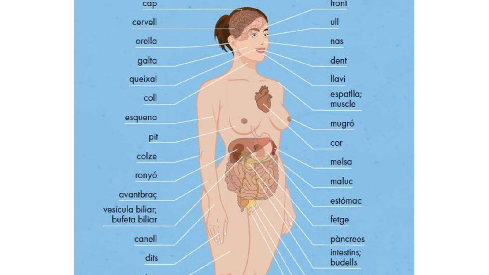 Poster that will be displayed in healthcare centers as part of the new initiative