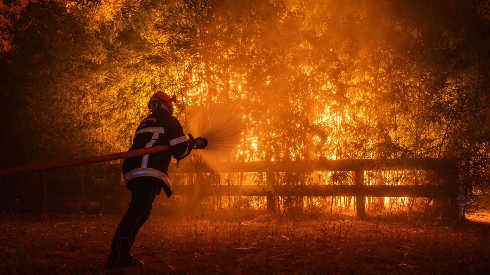 The forest fire in the region of Gironde, in France, which threatens Bordeaux.