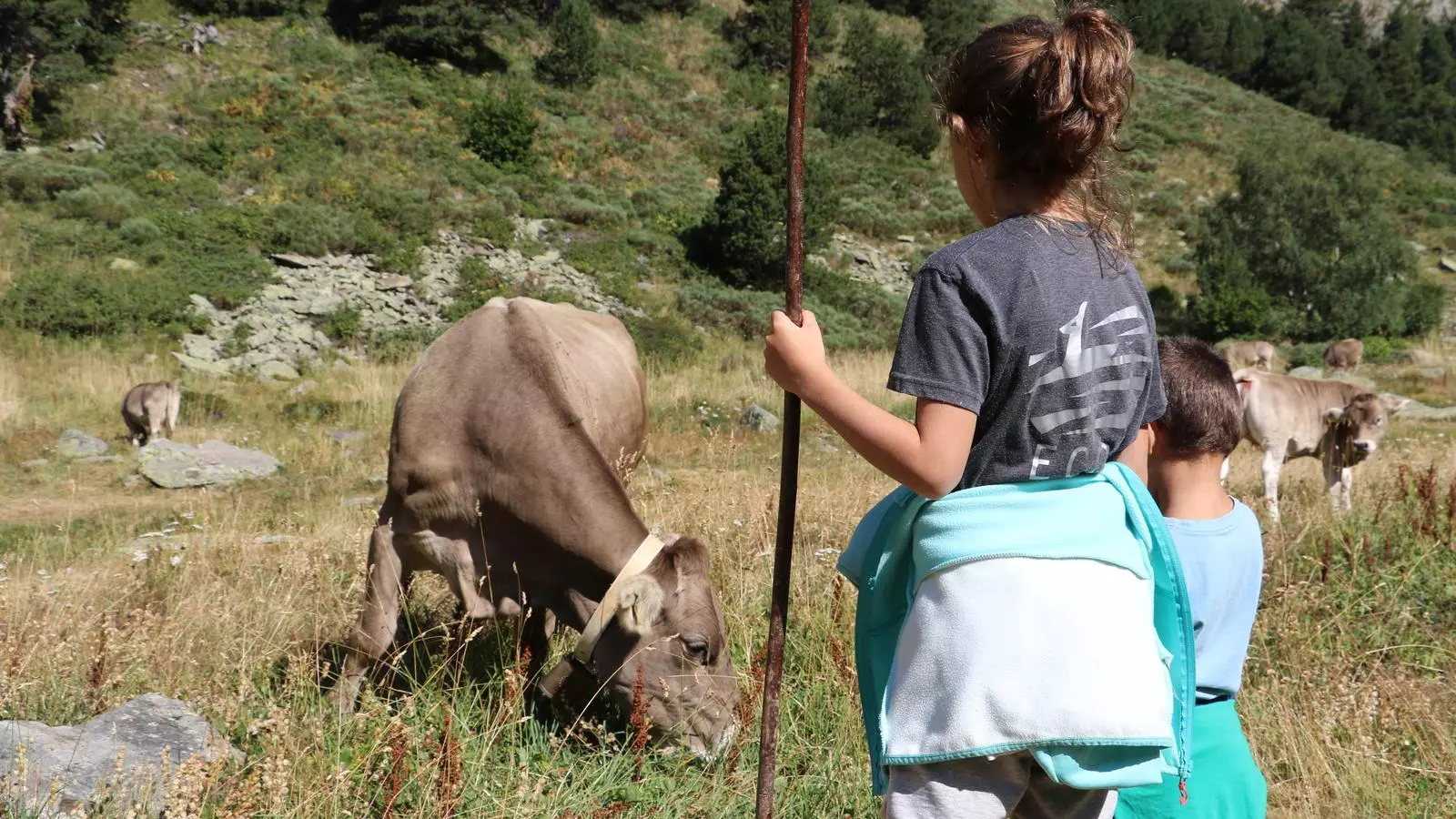 Joves generacions a la tradicional benedicció del bestiar, aquest divendres a Ordino. / E.C. (ANA)