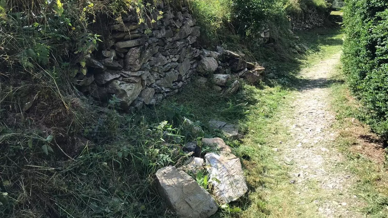 Camí ral d'Ordino