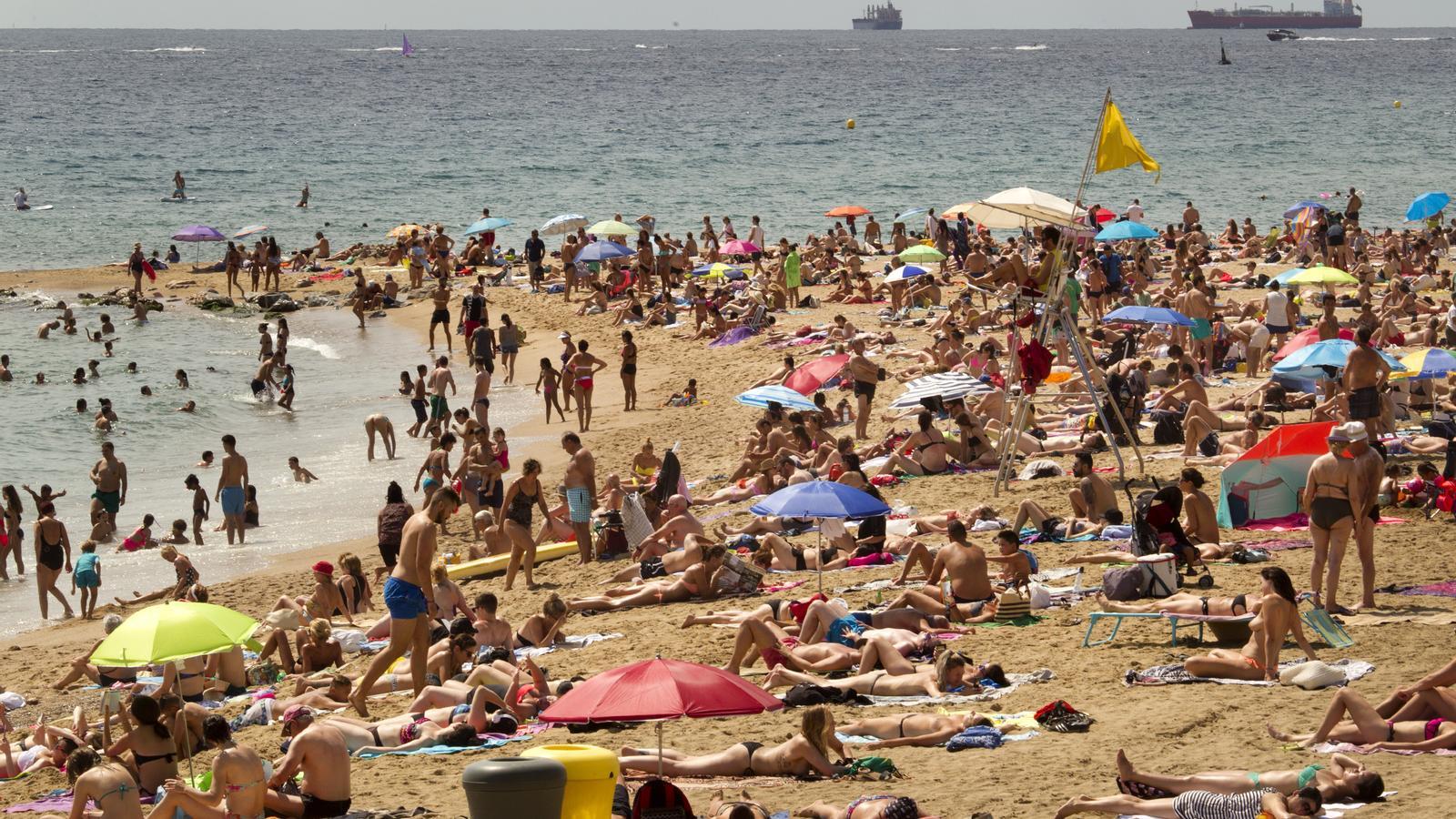 Around 90% of vitamin D is generated through solar radiation. But dermatologists remind us that this is not incompatible with sunbathing with caution.