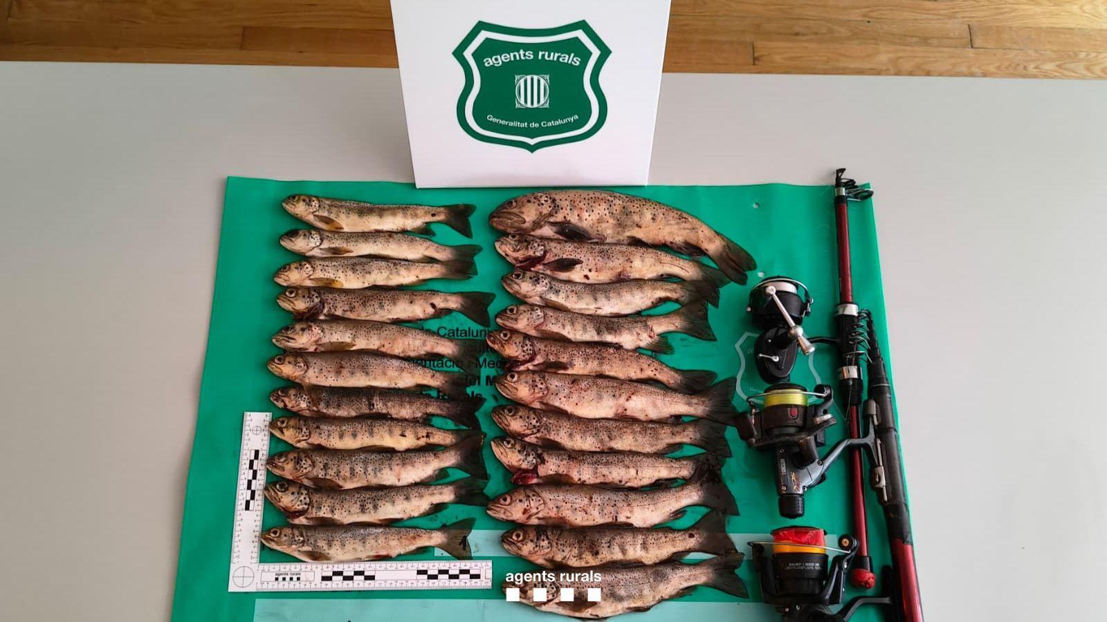 Fish caught irregularly and tools seized by Rural Agents.