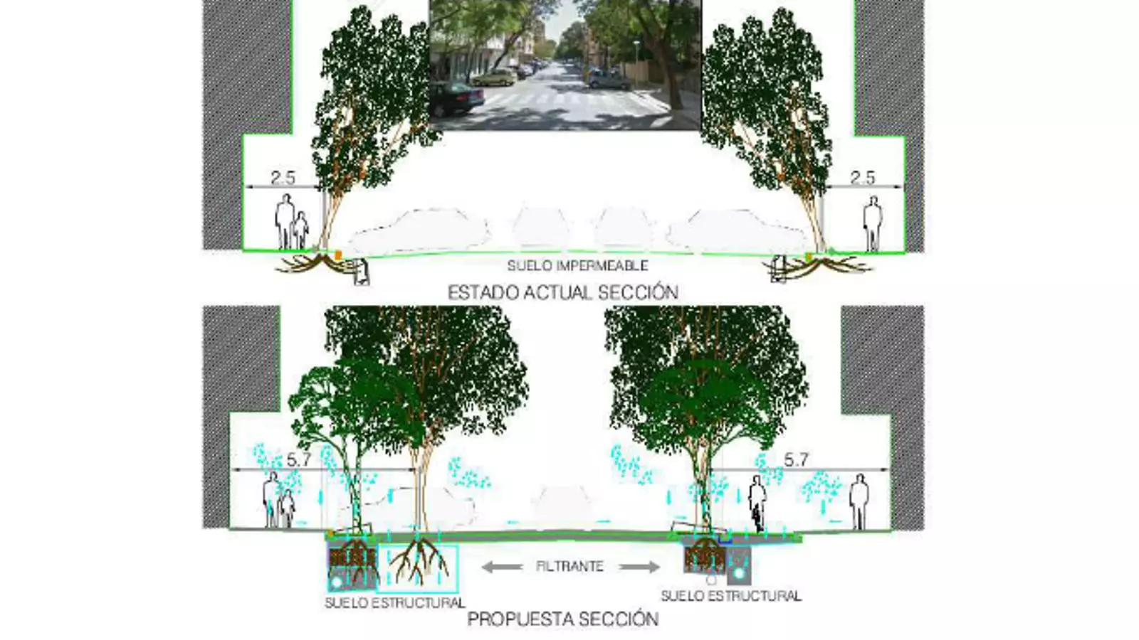 Imatge del projecte