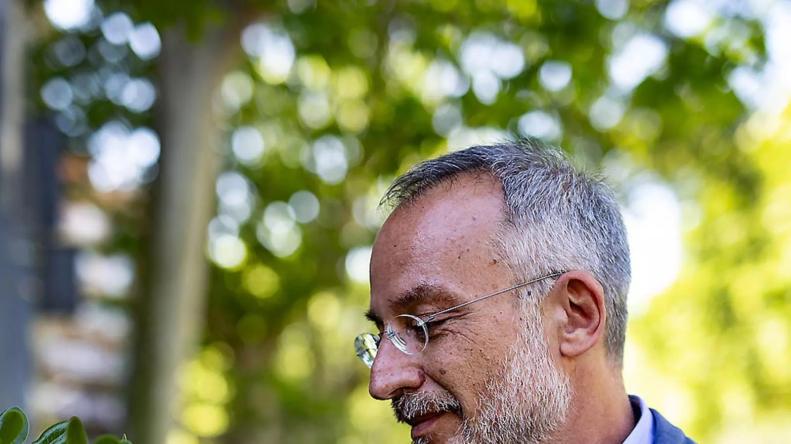 “Les plantes són molt més intel·ligents que nosaltres”