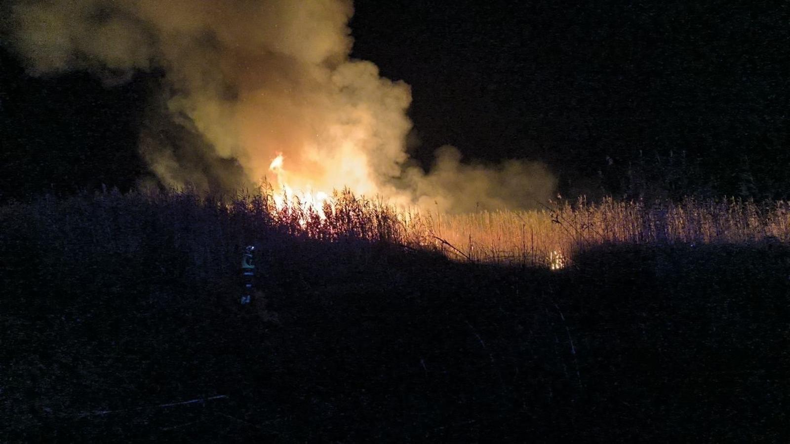 Incendio forestal en la Albufera