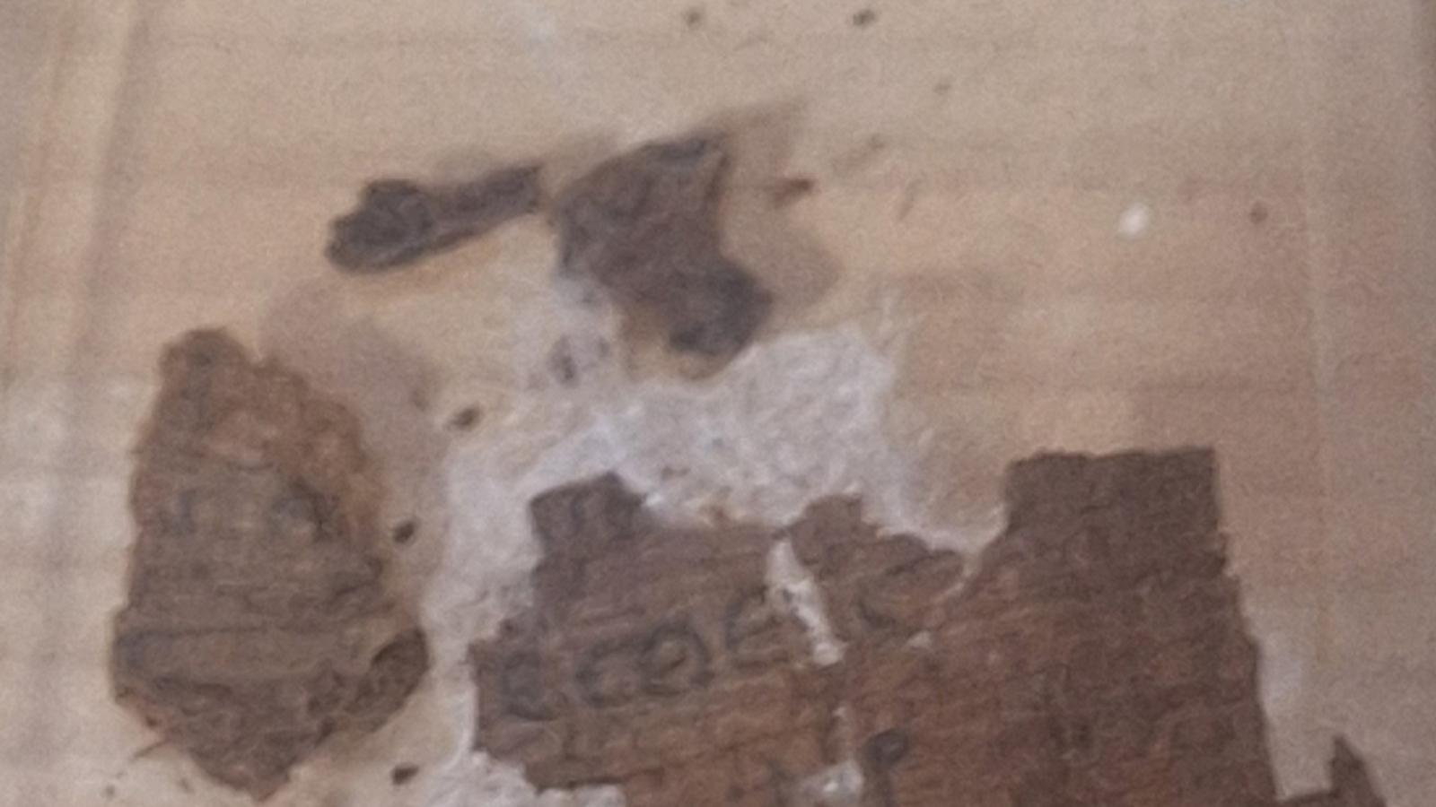 Algunos fragmentos del papiro