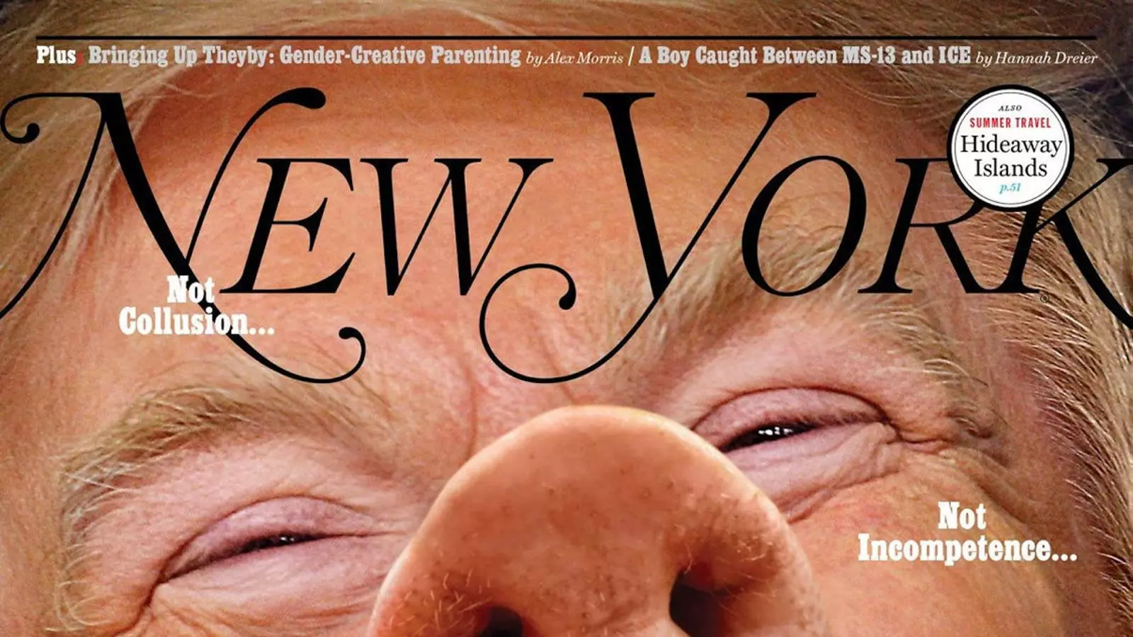L’any, explicat en disset portades de revistes
